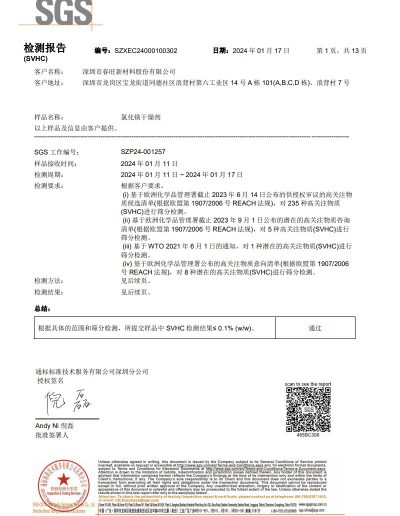 REACH249项检测报告